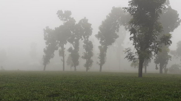 ভোরে হালকা কুয়াশা পড়ার সম্ভাবনা, সপ্তাহ শেষে শীত বাড়ার ইঙ্গিত