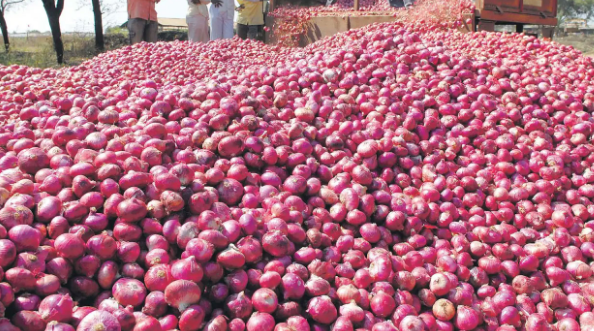 ঢাকায় ভারতীয় পেঁয়াজ ৮০ টাকা, দুই-একদিনে নামতে পারে ৫০ টাকার নিচে