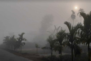 শুষ্ক আবহাওয়ার সঙ্গে কুয়াশা, তিন জেলায় শৈত্যপ্রবাহ