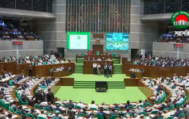 জ্বালানি সিন্ডিকেট, জনভোগান্তি ও শিষ্টাচার নিয়ে সংসদে উত্তাপ