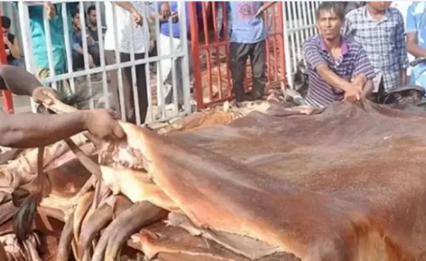 কোরবানির চামড়ার ন্যায্যমূল্য নির্ধারণে আন্তঃমন্ত্রণালয় কমিটি গঠন