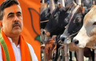 গরু বিক্রি নিয়ে পশ্চিমবঙ্গে হাহাকার, শিগগিরই সিদ্ধান্ত নেবেন শুভেন্দু