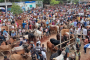 ক্রেতা-বিক্রেতার ভিড়ে সরগরম চাঁপাইনবাবগঞ্জের কোরবানির পশুর হাট