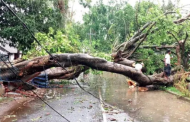 ঝড়ের তাণ্ডবে লণ্ডভণ্ড হতে পারে ১৩ অঞ্চল, ৩৬ ঘণ্টার সতর্কতা