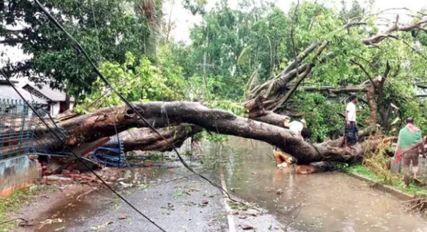 ঝড়ের তাণ্ডবে লণ্ডভণ্ড হতে পারে ১৩ অঞ্চল, ৩৬ ঘণ্টার সতর্কতা