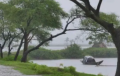সারাদেশে বৃষ্টি বাড়ার আভাস, সক্রিয় হচ্ছে মৌসুমি বায়ু