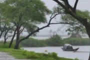 সারাদেশে বৃষ্টি বাড়ার আভাস, সক্রিয় হচ্ছে মৌসুমি বায়ু