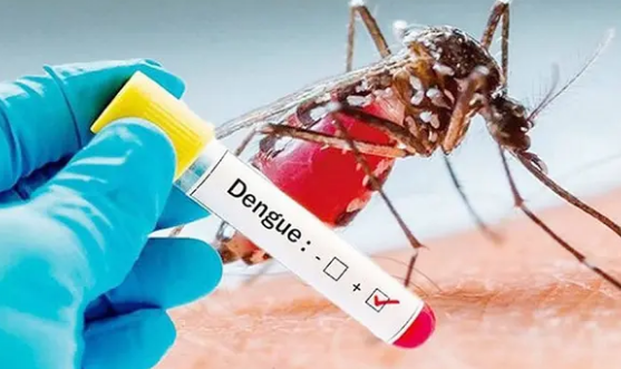 ডেঙ্গুতে আরও একজনের মৃত্যু, নতুন রোগী ৪৫০
