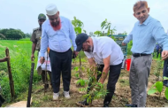 জলবায়ু পরিবর্তন মোকাবিলায় ব্যাপক বনায়ন গুরুত্বপূর্ণ: পরিবেশ প্রতিমন্ত্রী
