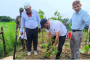 জলবায়ু পরিবর্তন মোকাবিলায় ব্যাপক বনায়ন গুরুত্বপূর্ণ: পরিবেশ প্রতিমন্ত্রী