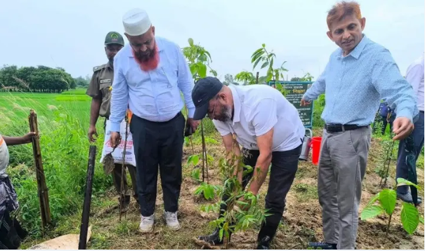 জলবায়ু পরিবর্তন মোকাবিলায় ব্যাপক বনায়ন গুরুত্বপূর্ণ: পরিবেশ প্রতিমন্ত্রী